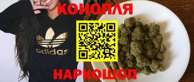 тгк Обь
