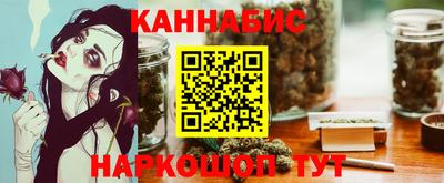 тгк Обь