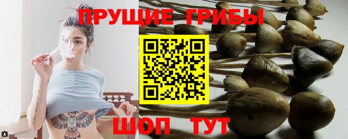 Галлюциногенные грибы ЛСД  Вход с VPN  Осинники 